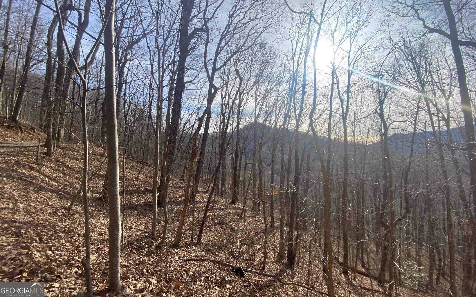 Hiawassee, GA 30546,TRACT 1 Caeser Gap Road