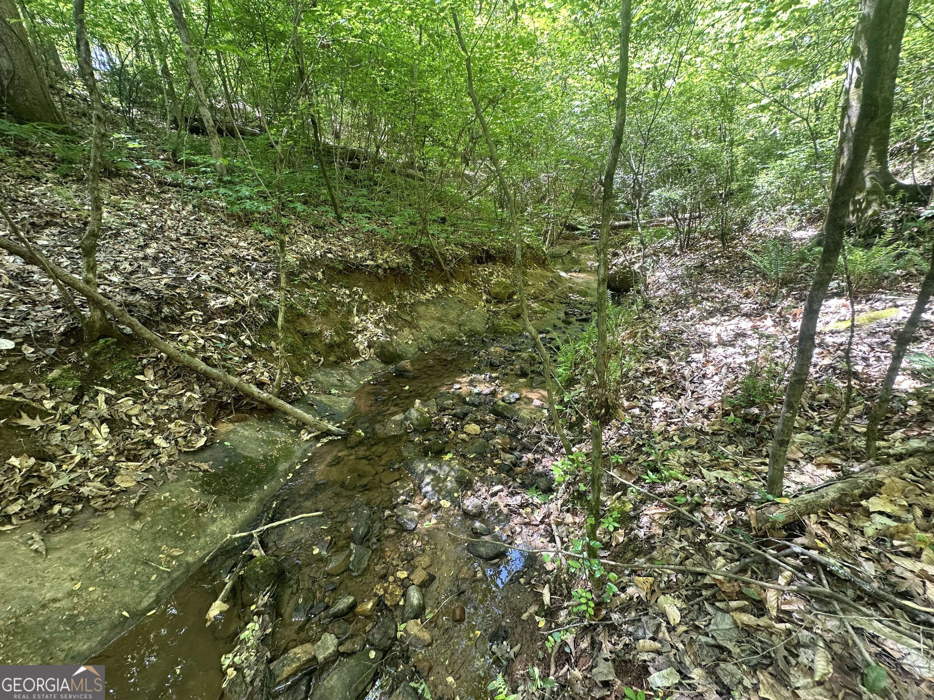 Athens, GA 30605,3868 Barnett Shoals RD