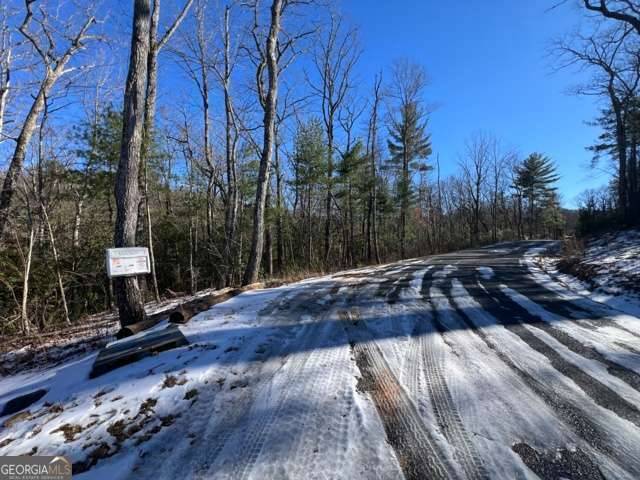 Blairsville, GA 30512,LOT 10 Kennedys CT #10
