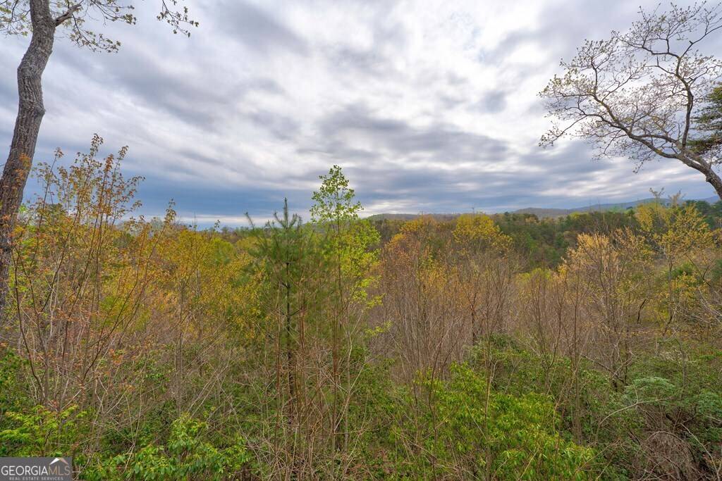 Blue Ridge, GA 30513,787 Choctaw RDG
