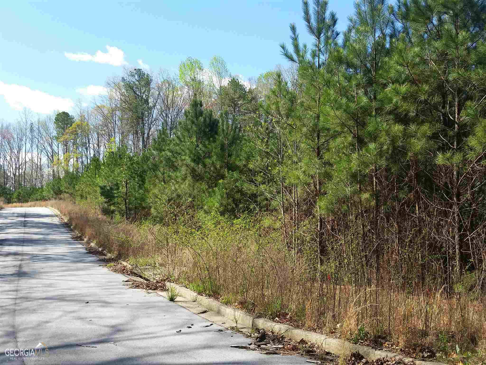 Dallas, GA 30157,154 Shawnee TRL #LOT 26