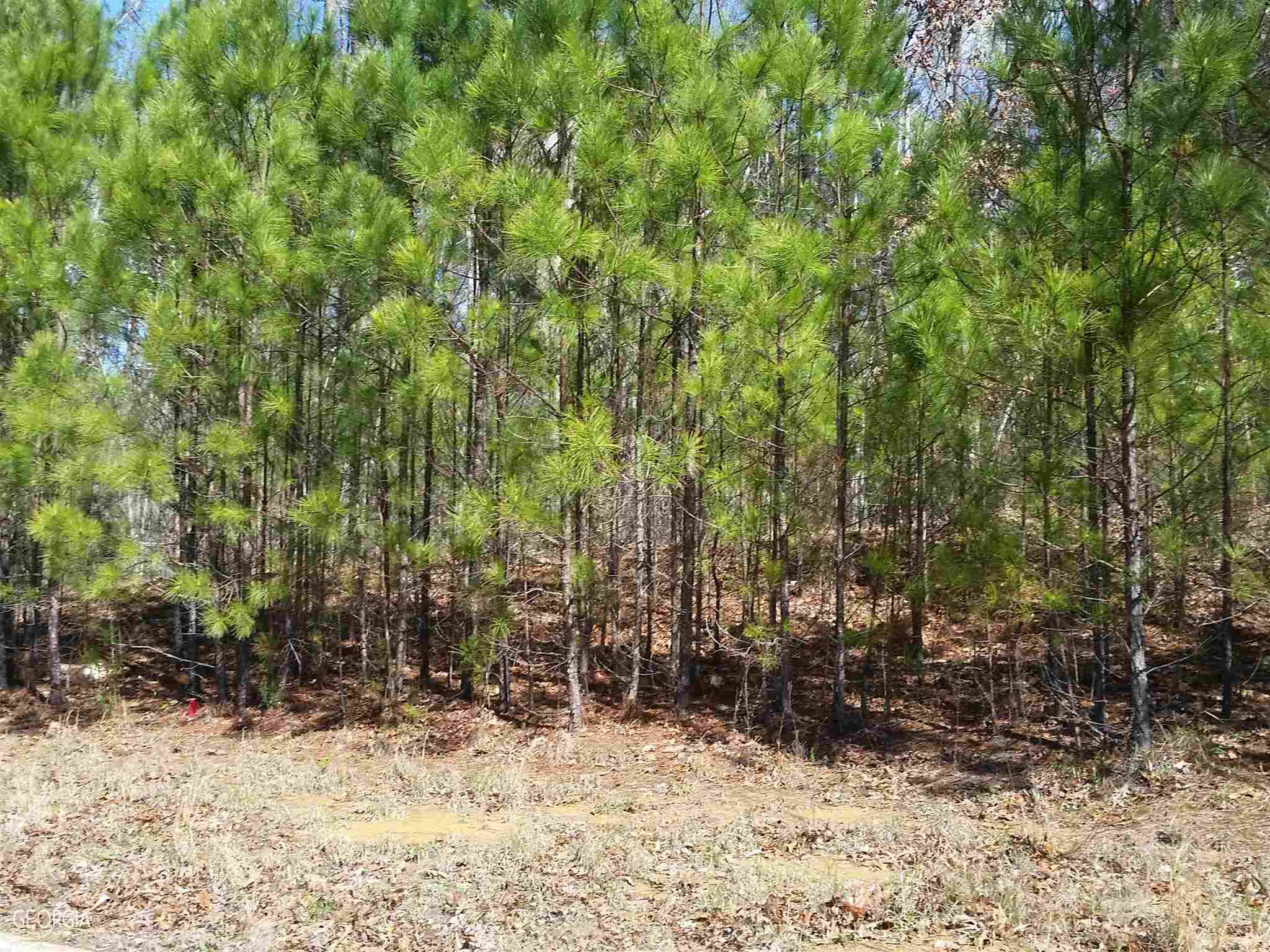 Dallas, GA 30157,146 Shawnee TRL #LOT 27