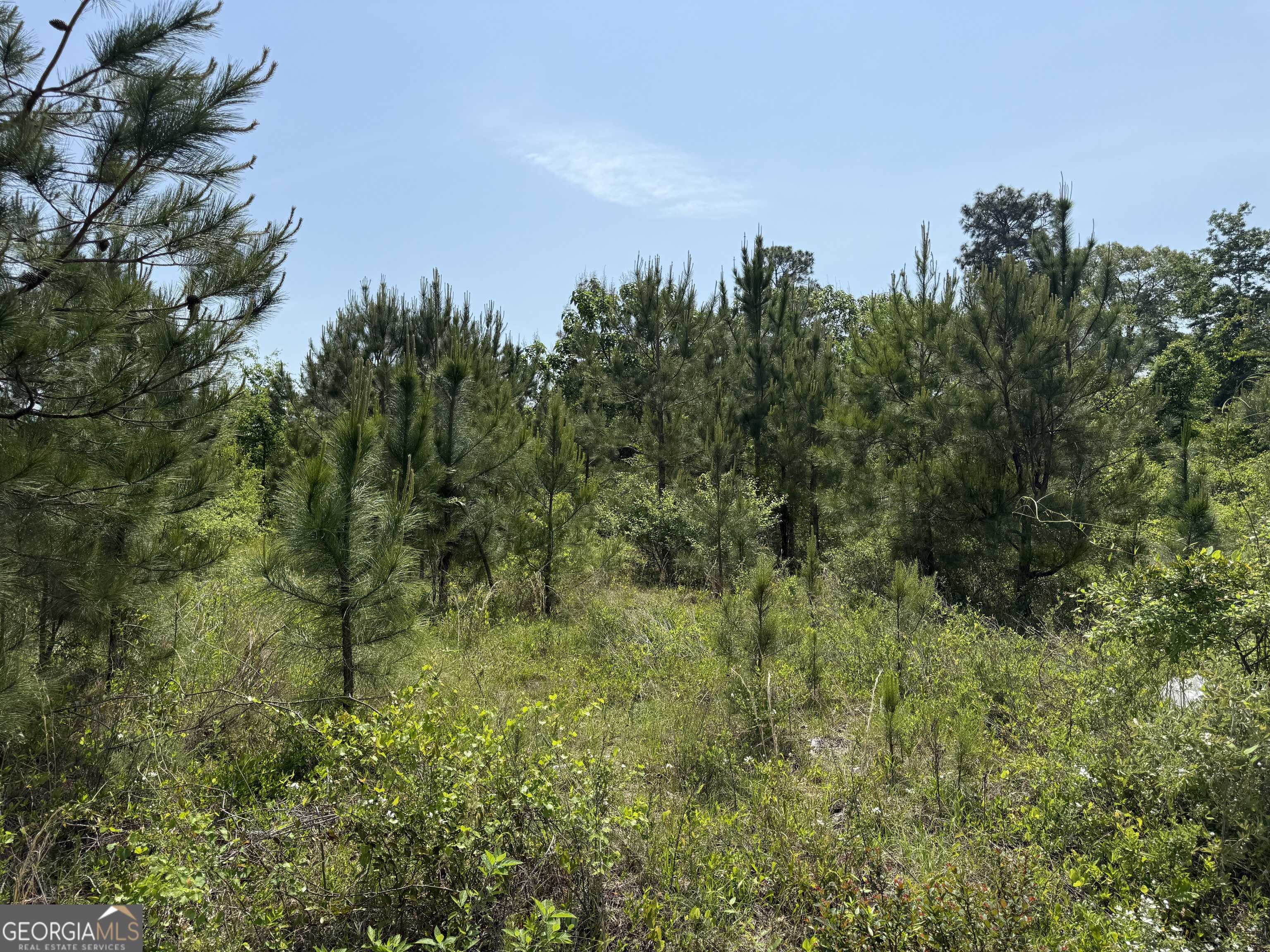 Byron, GA 31008,0 Jordan RD