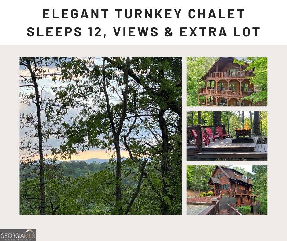 Ellijay, GA 30540,111 Dryad CT