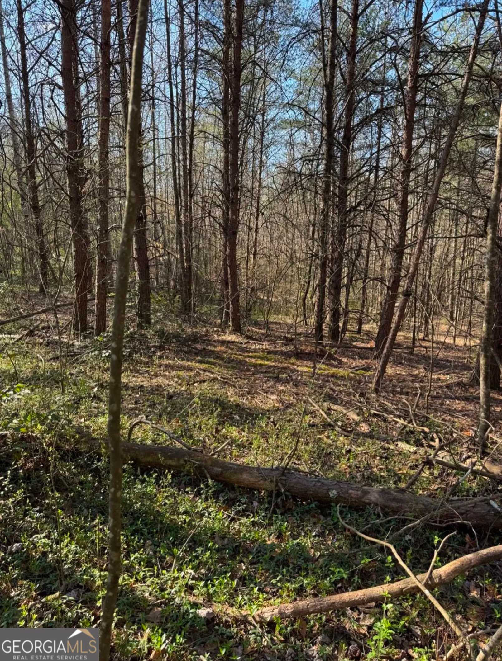 Dahlonega, GA 30533,0 Seabolt Stancil RD