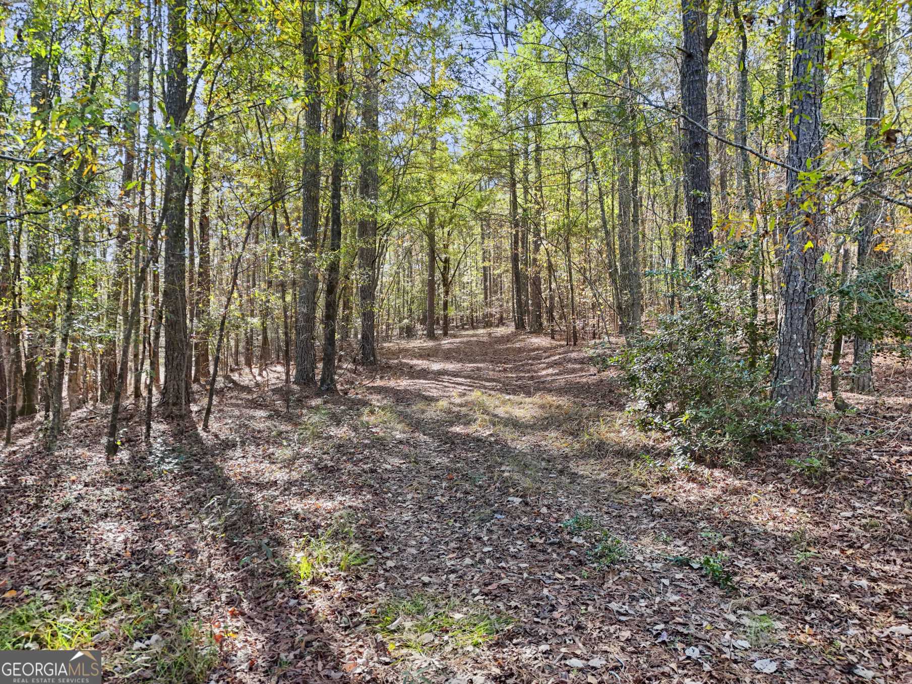 Williamson, GA 30292,20.14 Drew Allen RD