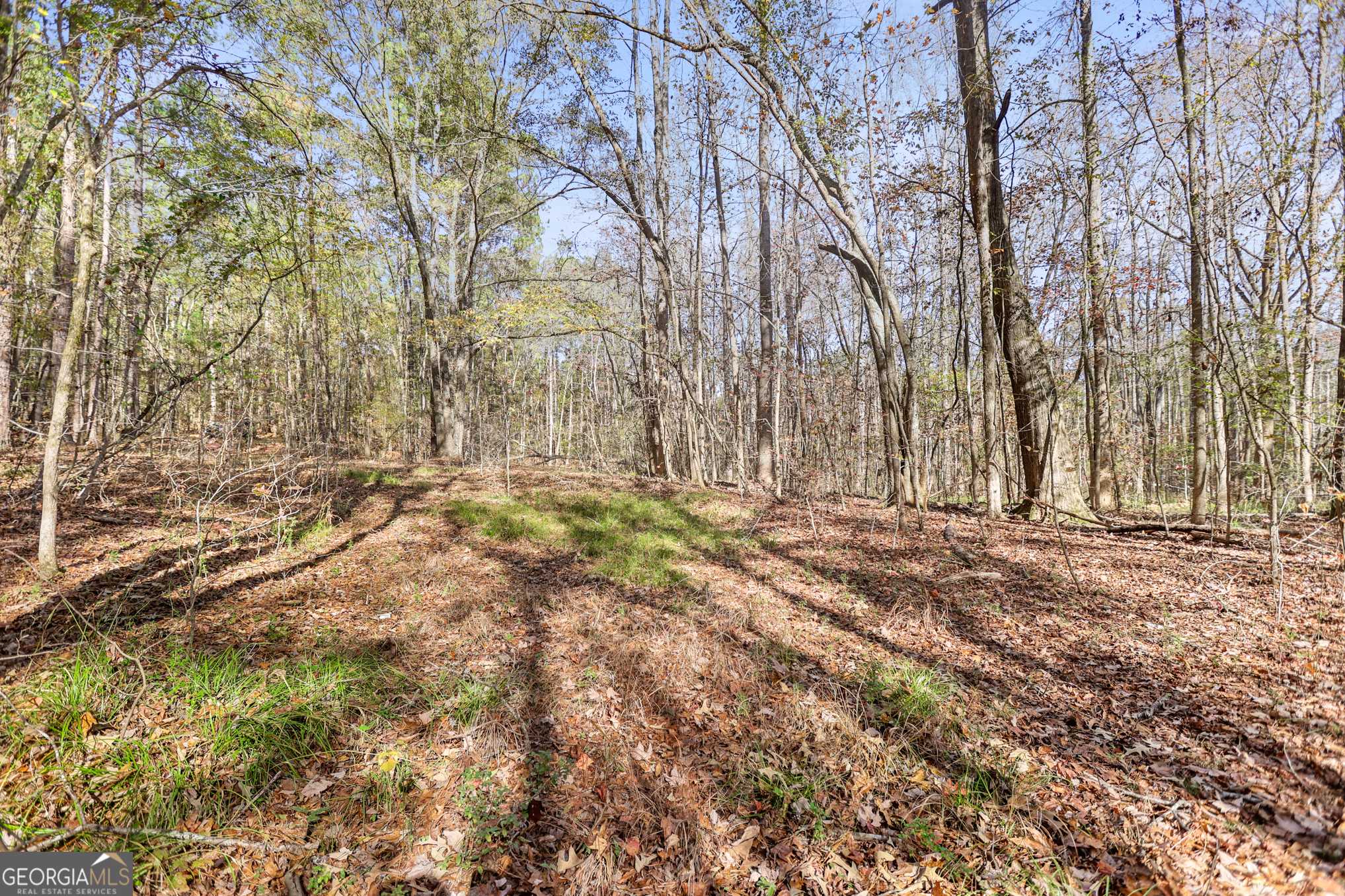Williamson, GA 30292,20.14 Drew Allen RD