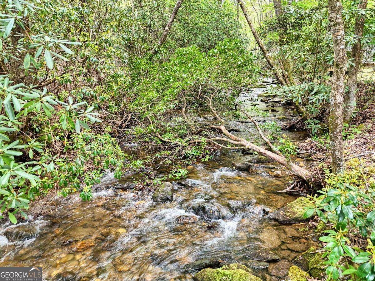 Hiawassee, GA 30546,1095 Creekside DR