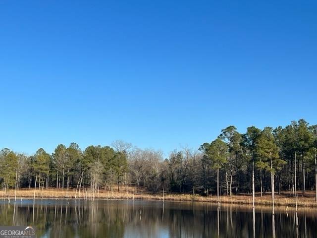 Butler, GA 31006,010 Mallard Circle