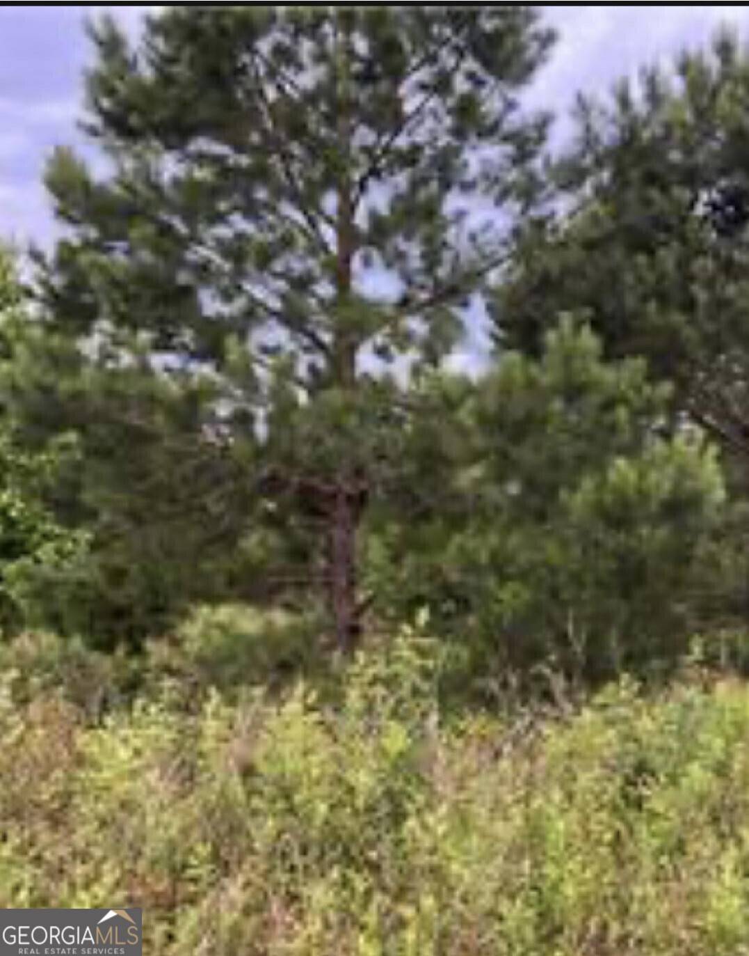 Hawkinsville, GA 31036,0 Sandy LN