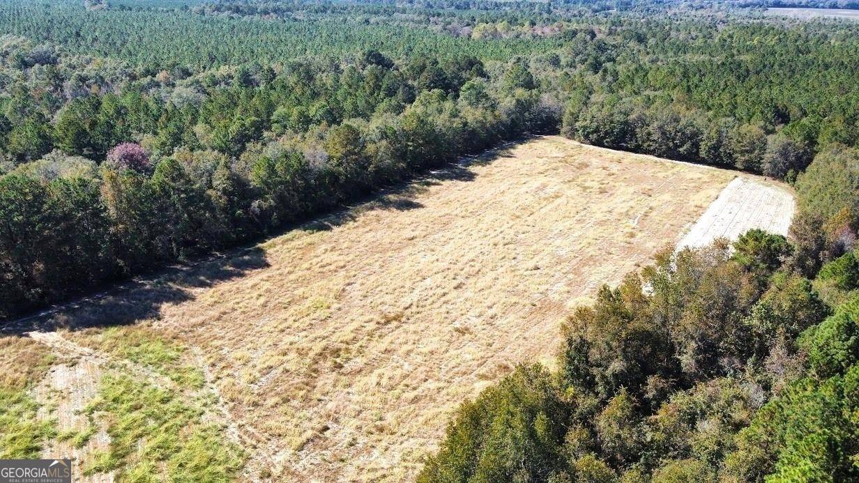 Brooklet, GA 30415,0 Old Happy RD #198.16 ACRES