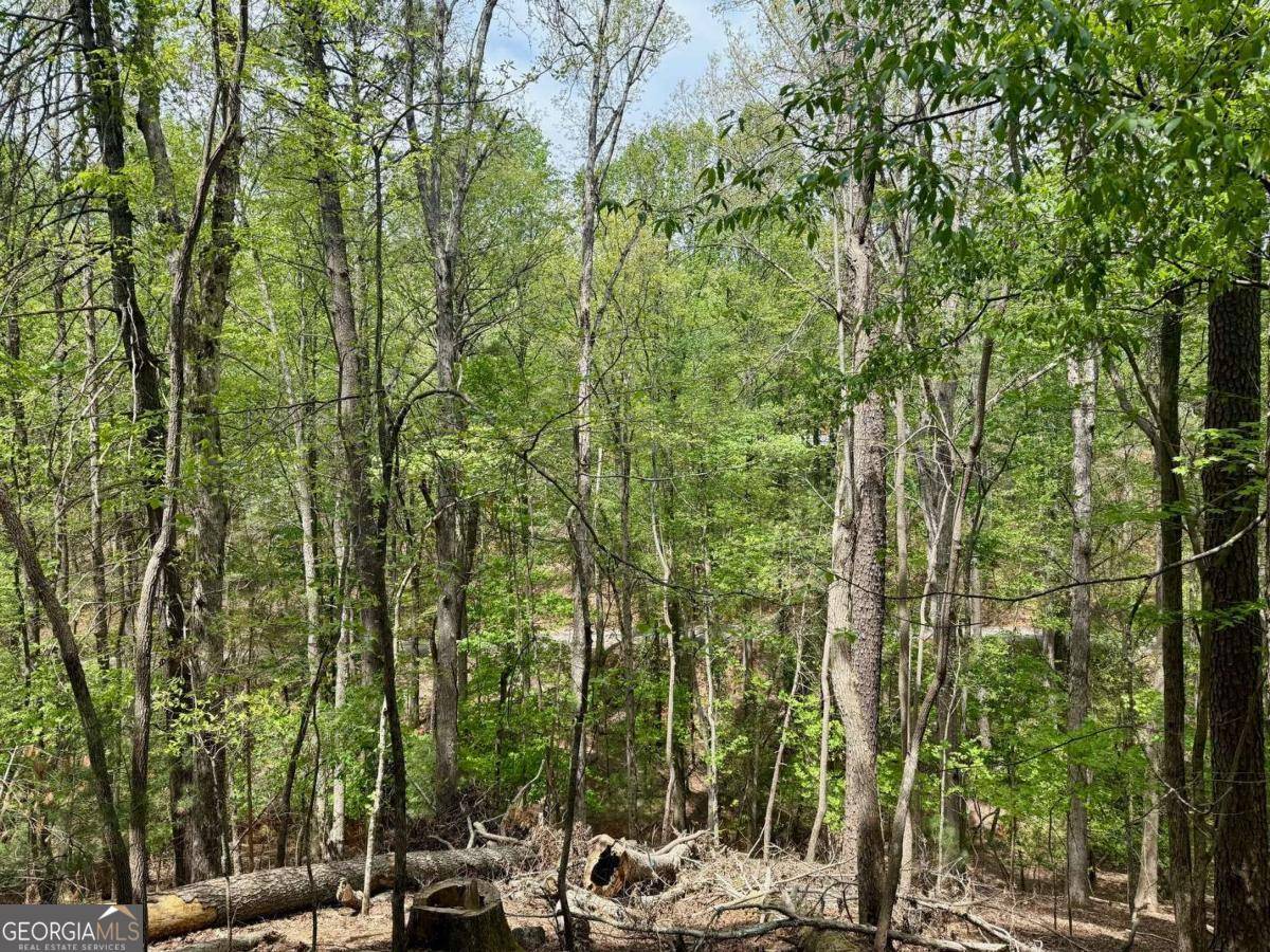 Ellijay, GA 30540,142 33rd ST