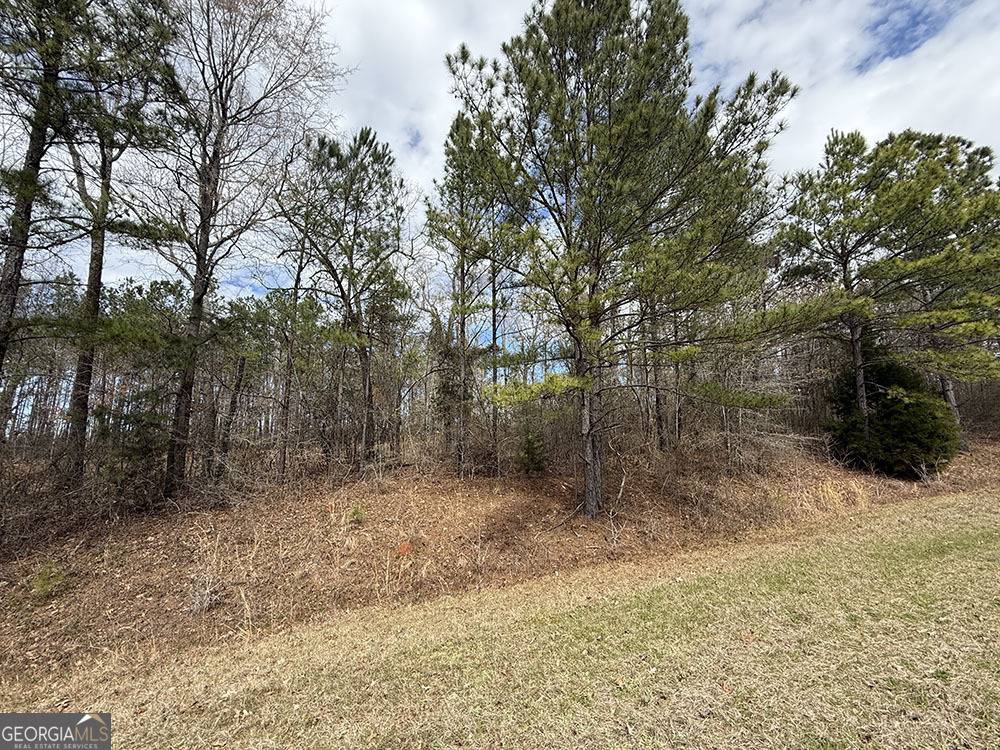 Jeffersonville, GA 31044,0 GA HWY 129