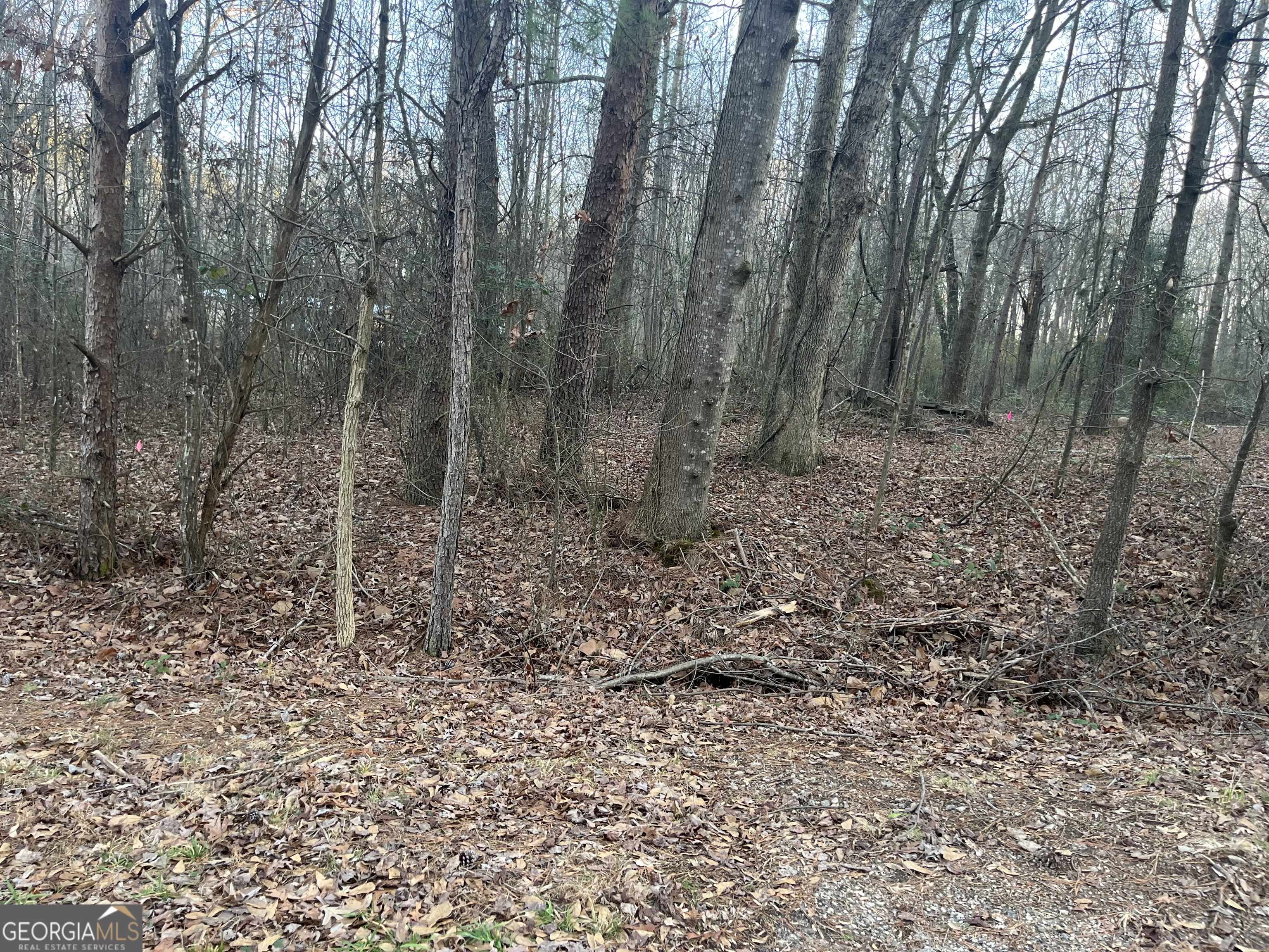 Hartwell, GA 30643,120 Tony DR #20