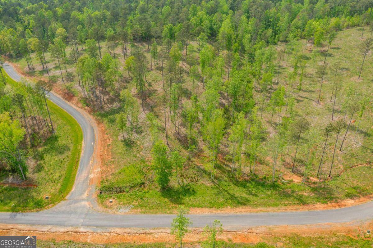 Ellijay, GA 30540,L349 The Vineyard at Yukon
