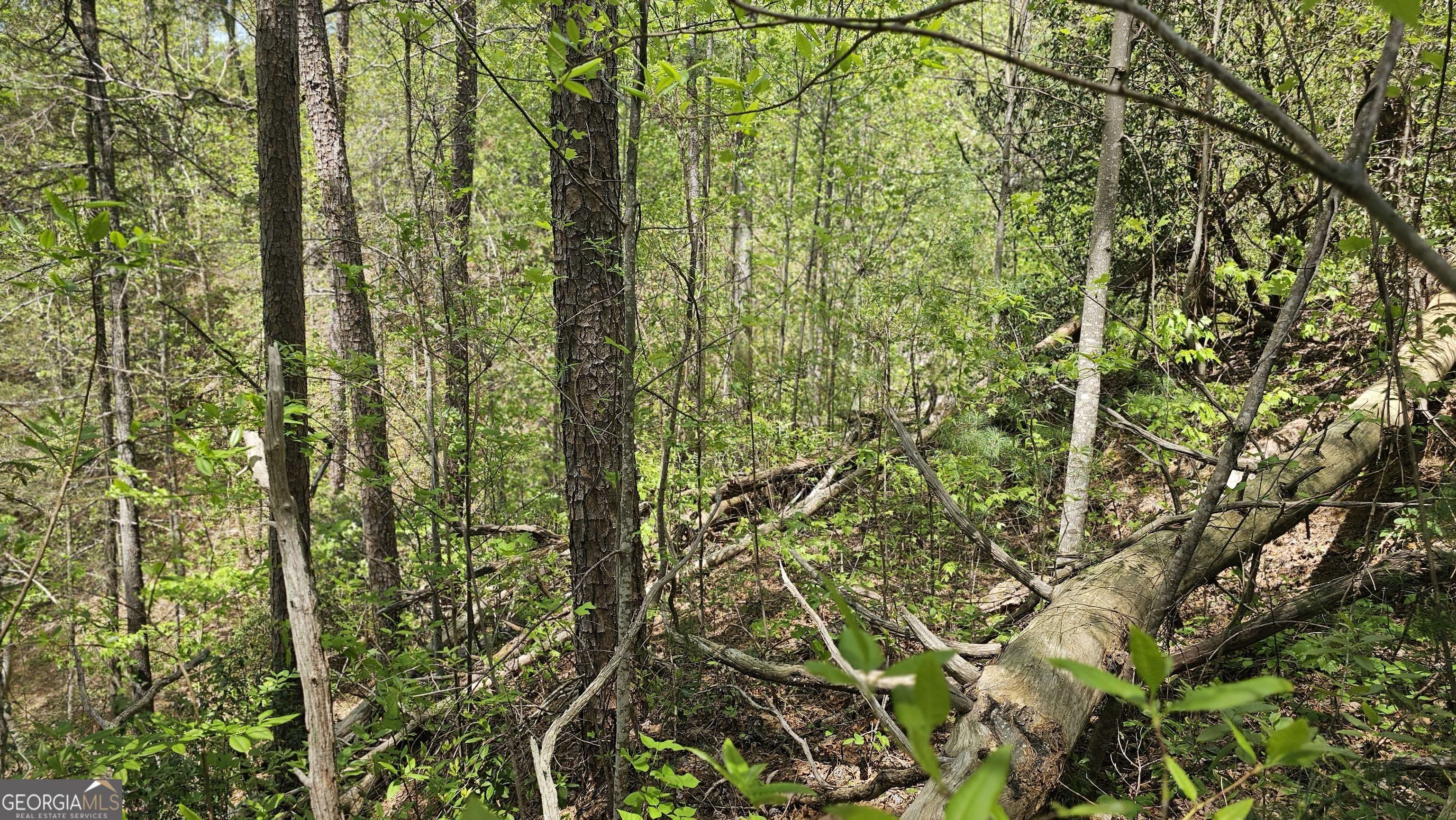 Clayton, GA 30525,0 Heavenly CIR #19