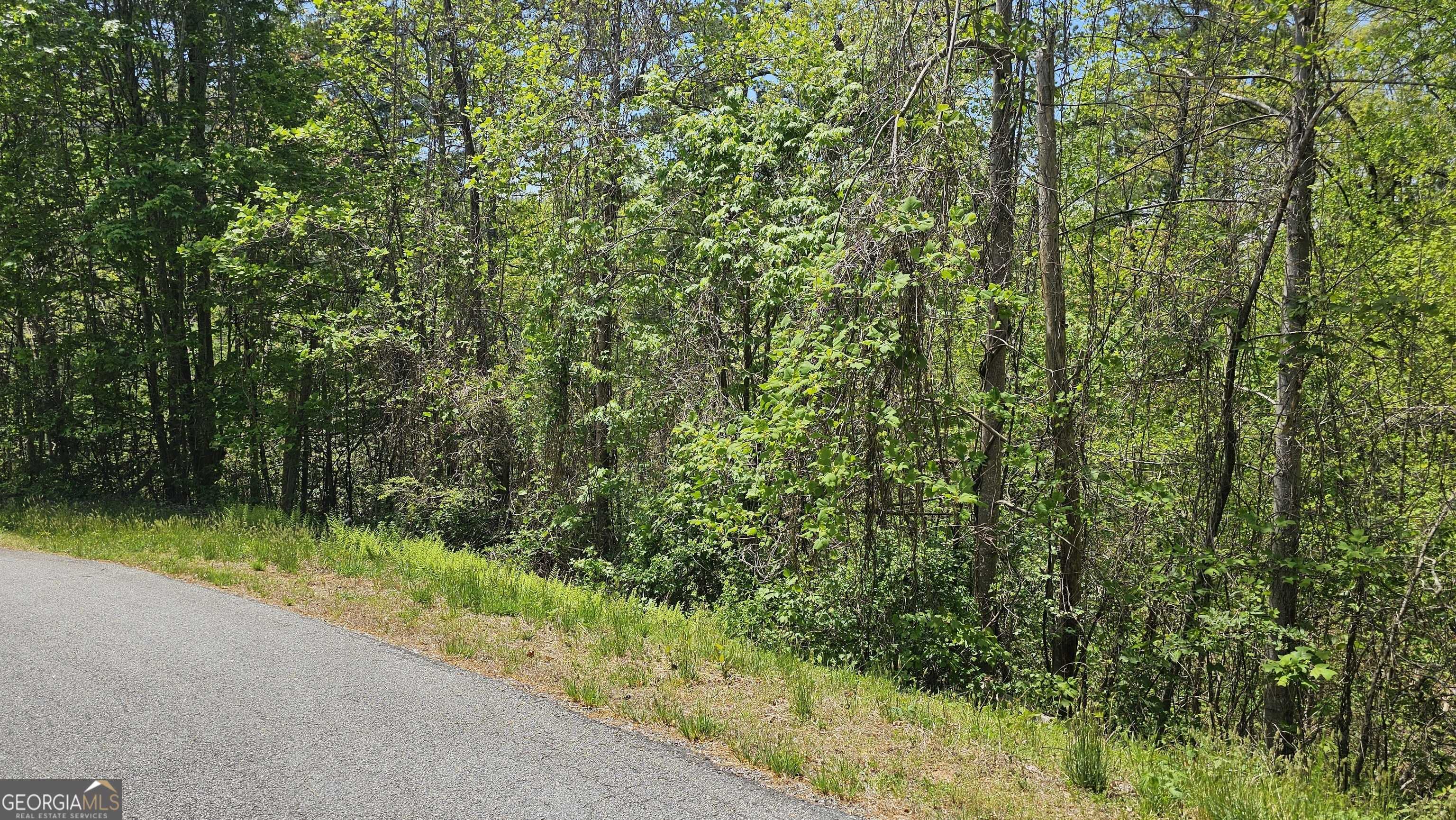 Clayton, GA 30525,0 Heavenly CIR #19