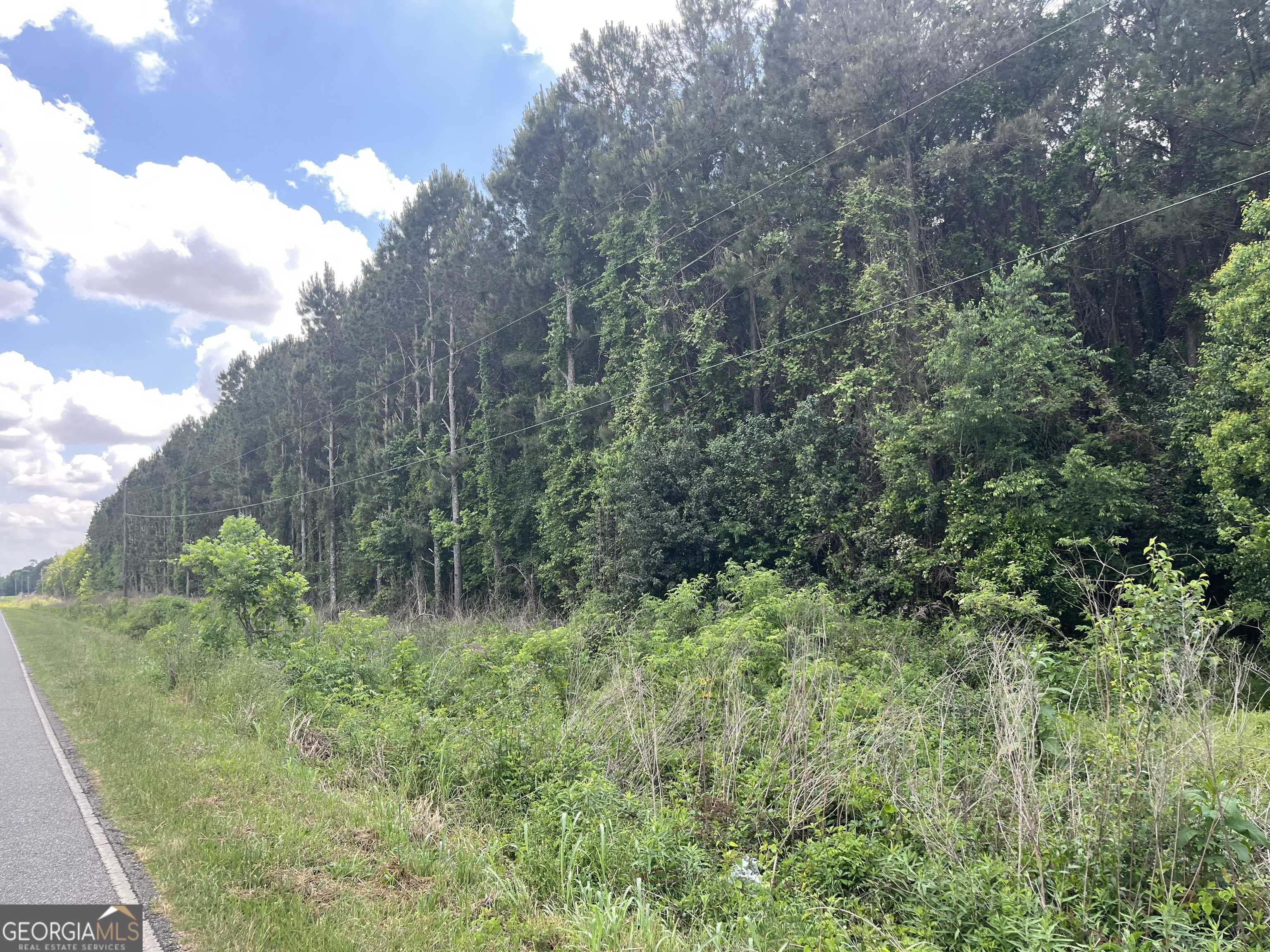 Unadilla, GA 31091,0 Elko RD