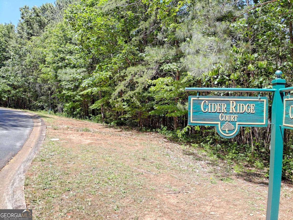 Clarkesville, GA 30523,0 Cider Ridge ##923