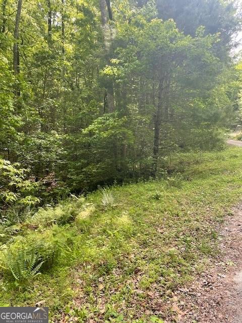 Dawsonville, GA 30534,0 McCormick DR