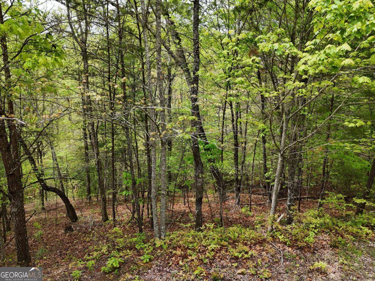 Mineral Bluff, GA 30559,LOT 20 Crabapple LN