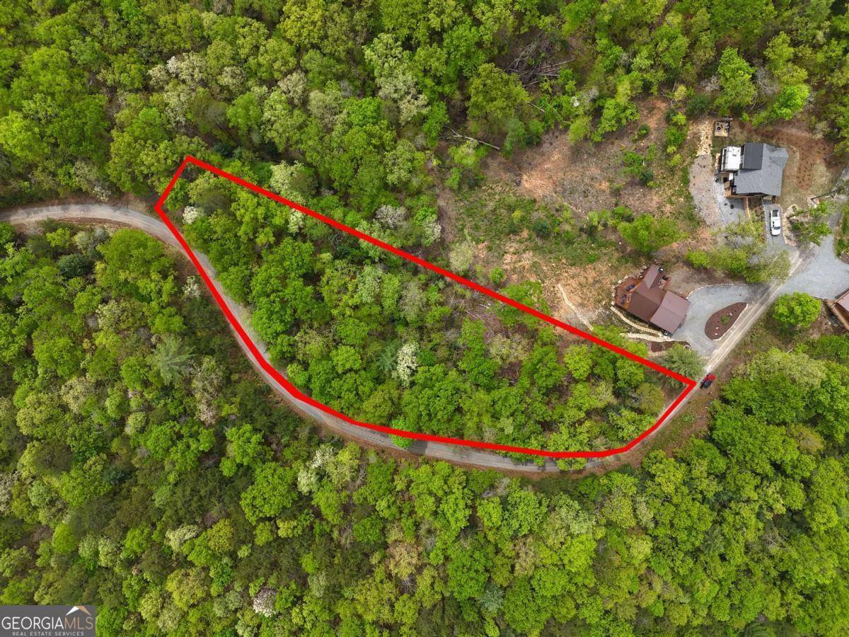 Mineral Bluff, GA 30559,LOT 20 Crabapple LN