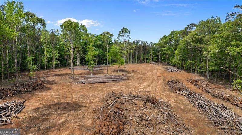 Covington, GA 30014,13421 Highway 36
