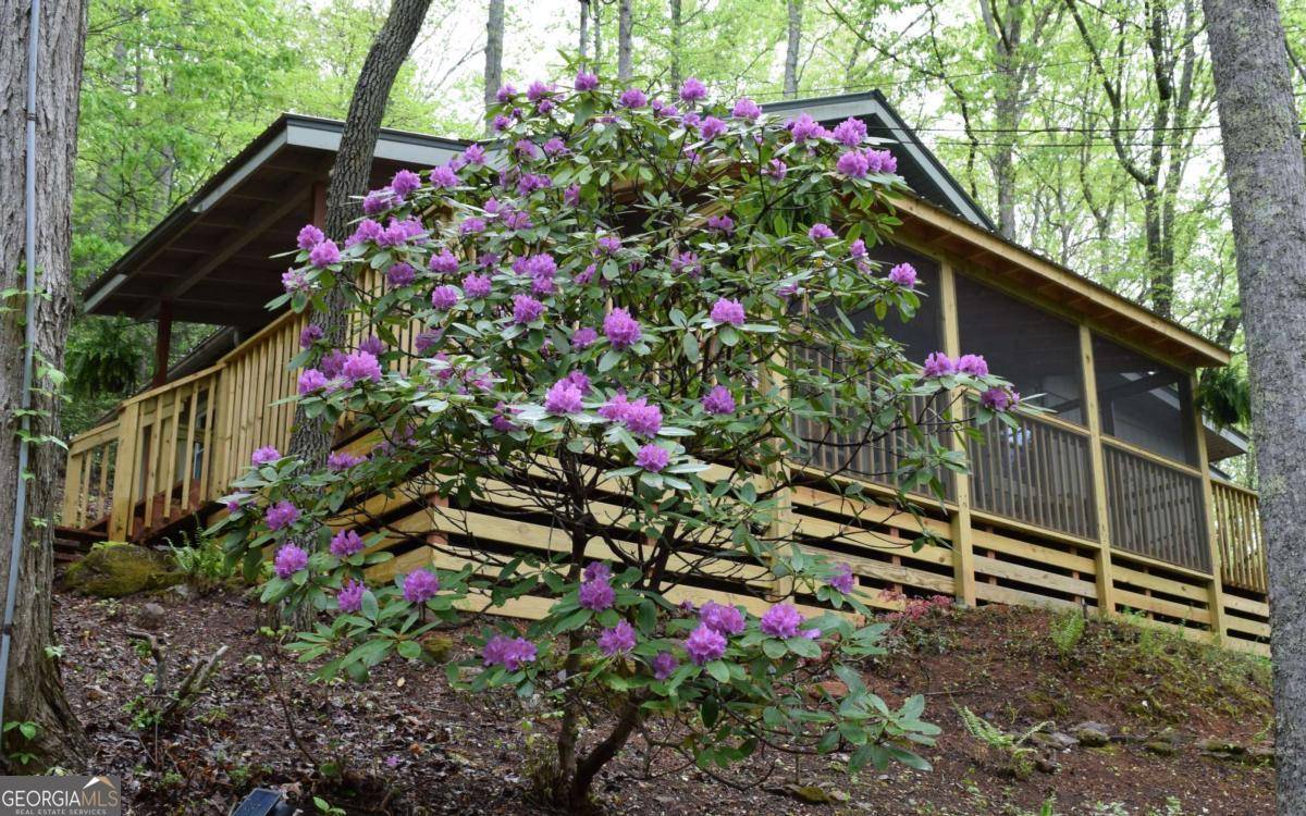 Blairsville, GA 30512,767 Robertson CIR
