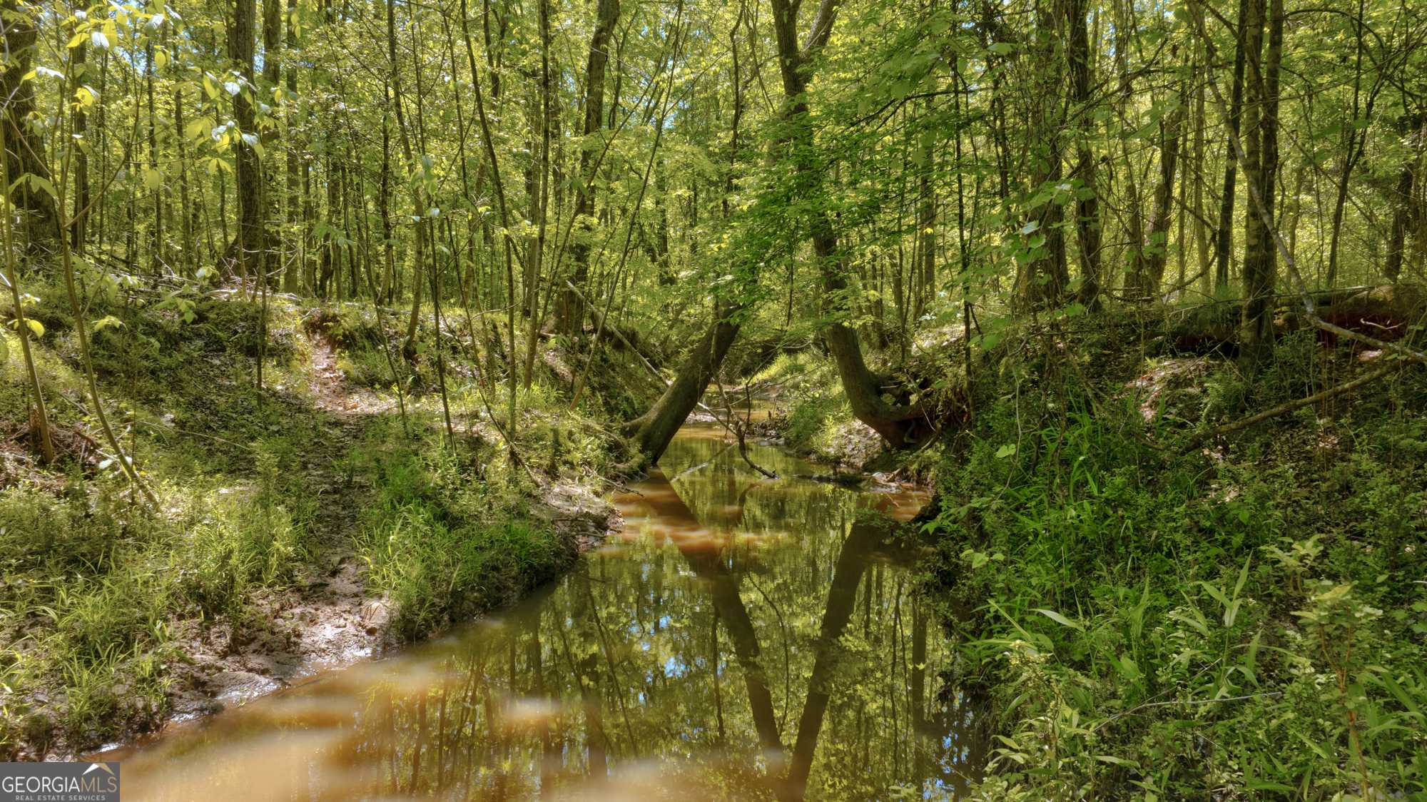 Talbotton, GA 31827,98 ACRES +/- George Smith