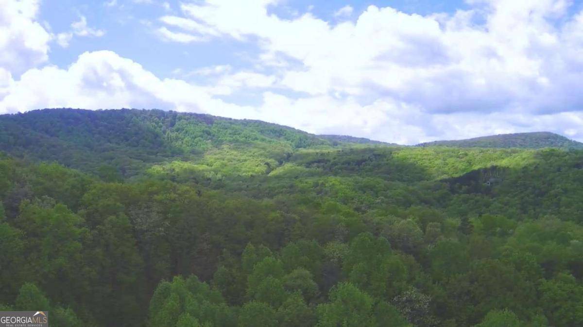 Ellijay, GA 30536,137 St Andrews WAY