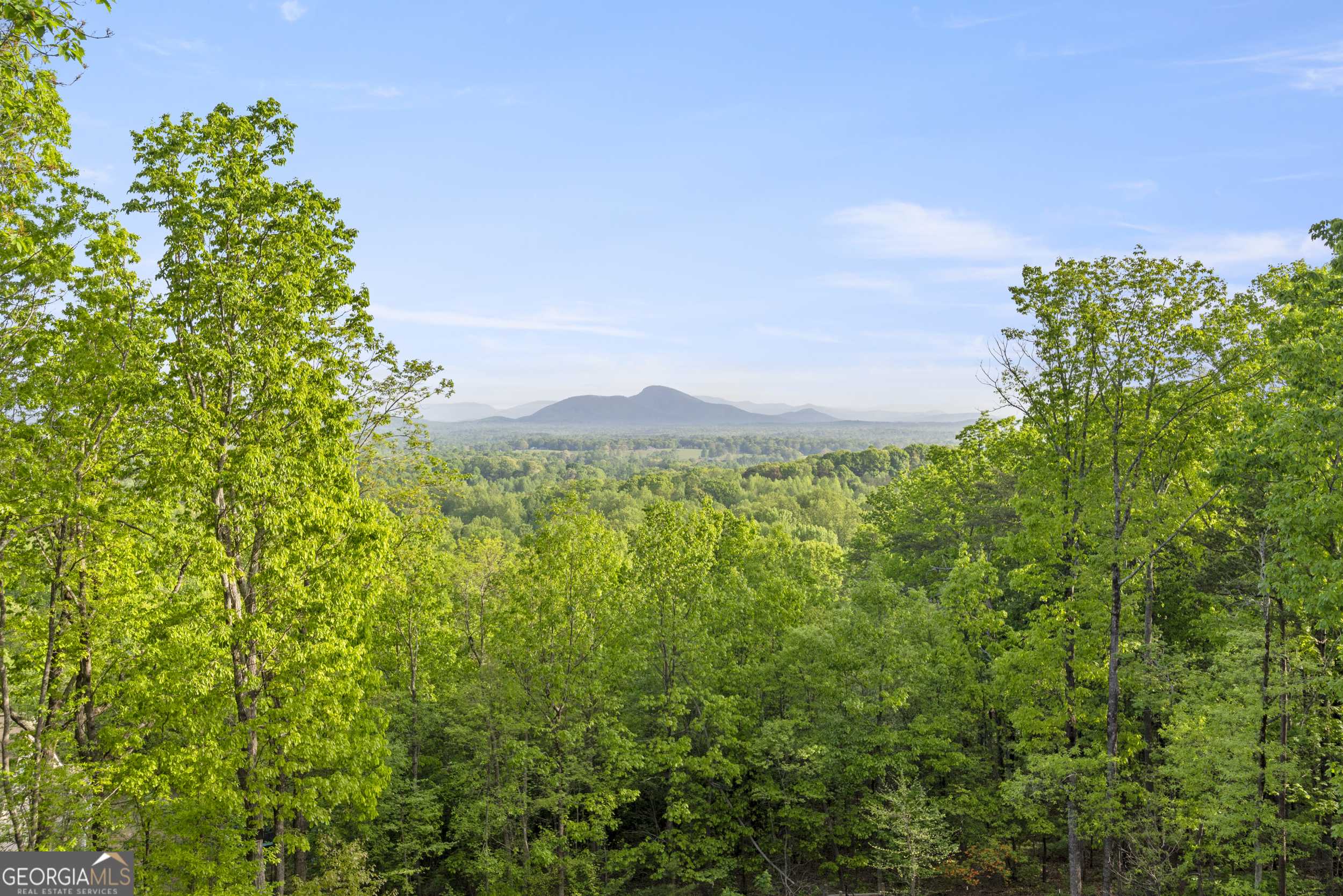 Cleveland, GA 30528,265 Lynda LN