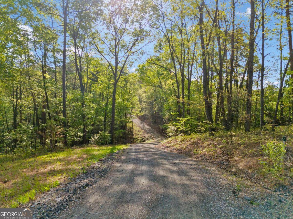 Canton, GA 30114,281 Abbott DR