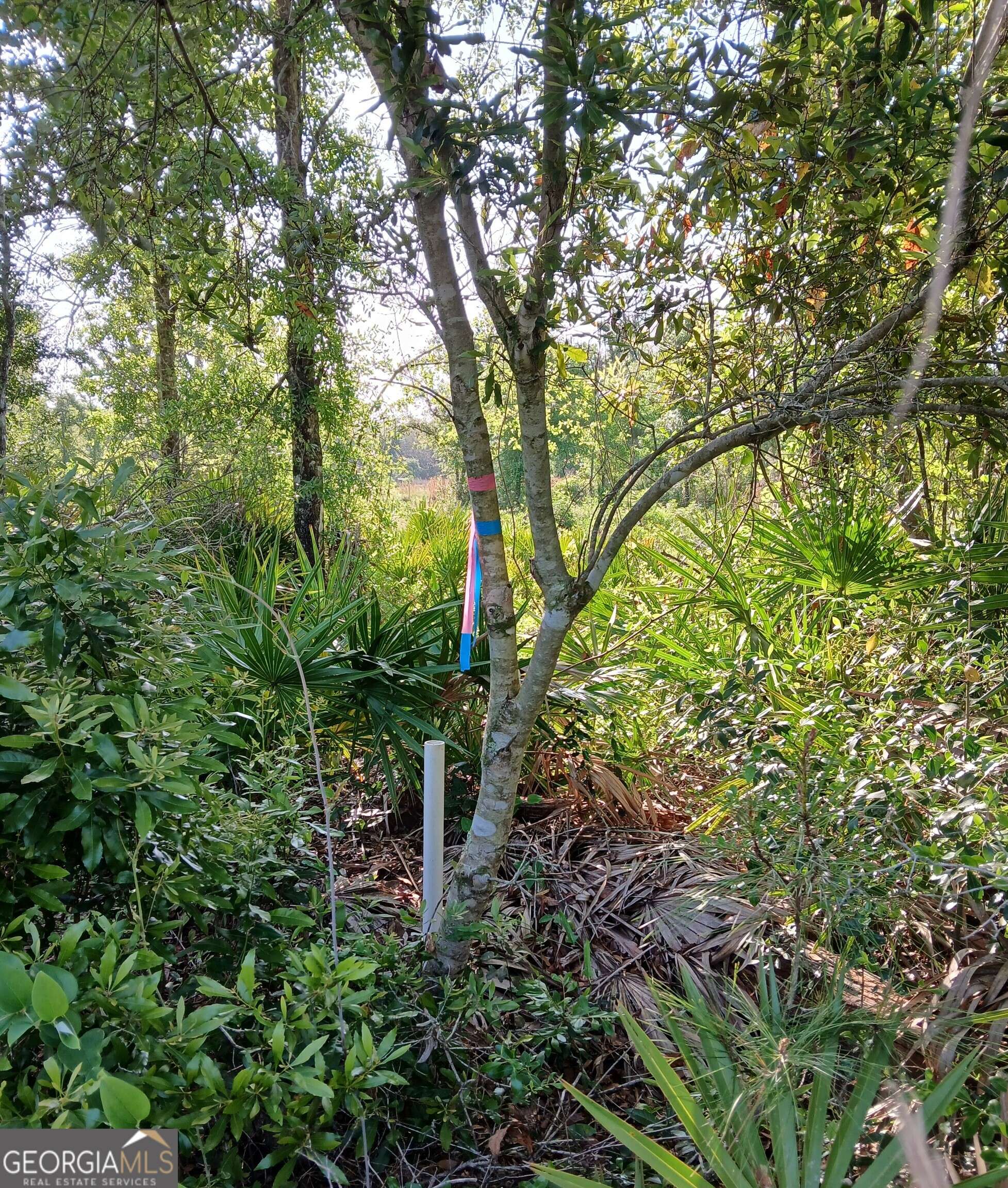 Folkston, GA 31537,0 Old Traders Hill RD #2.84 ACRE PARCEL LOT