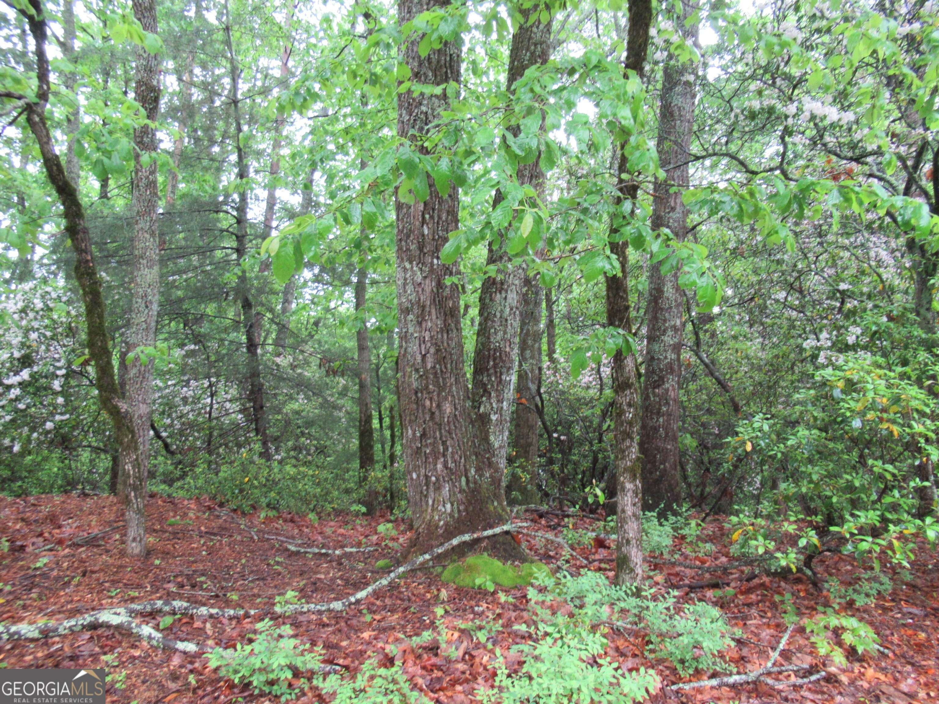 Cleveland, GA 30528,0 Spring Crest RD