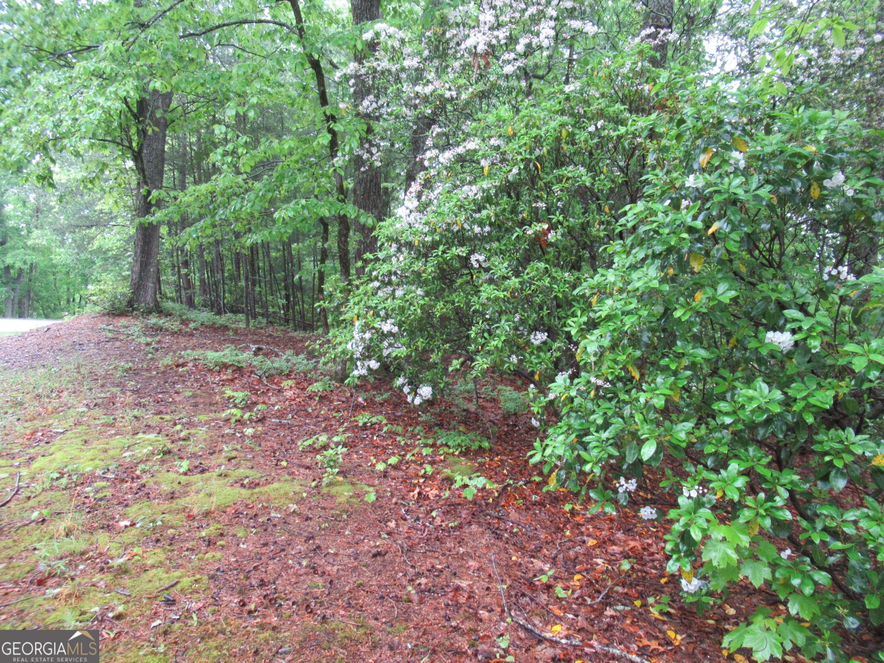 Cleveland, GA 30528,0 Spring Crest RD