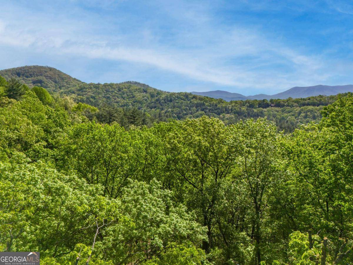 Ellijay, GA 30540,45 Amy Creek DR