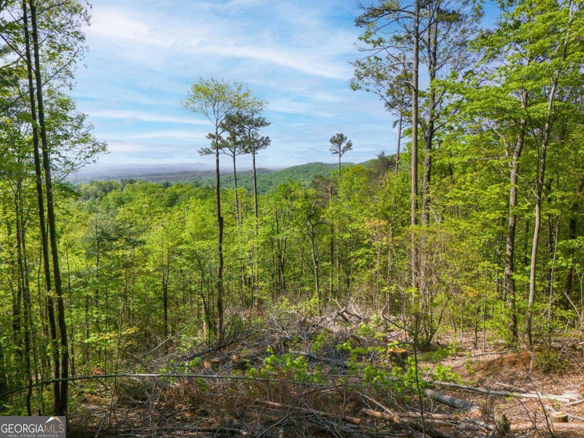 Ellijay, GA 30540,LOT 73 Mountain View RD