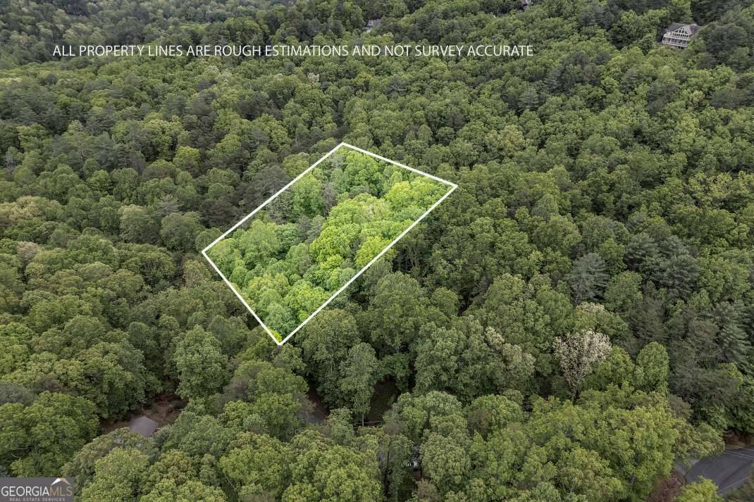 Sautee Nacoochee, GA 30571,LOT 17 Lower Gap RD #17