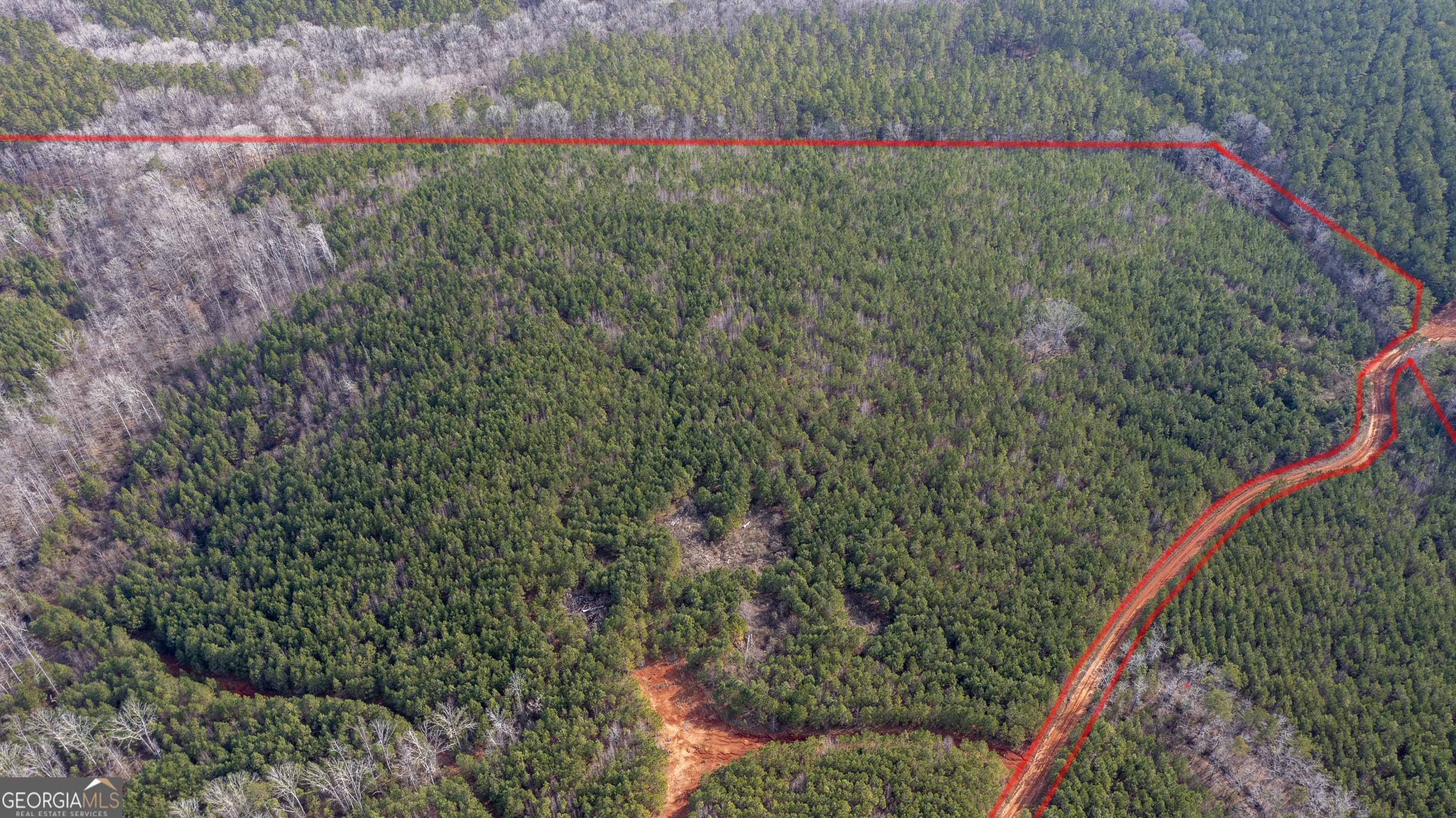 Woodland, GA 31836,0 Carlisle Gap RD