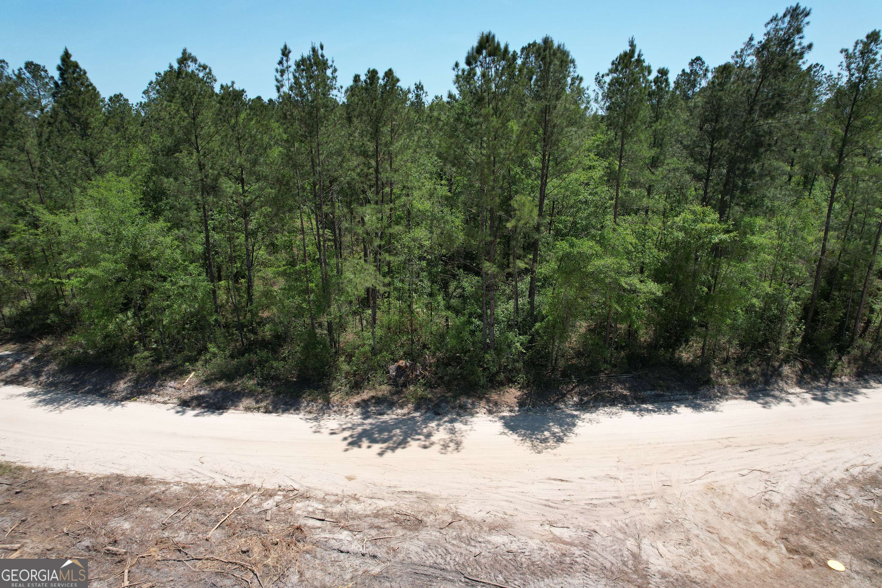 Millwood, GA 31552,0 Duncan Bridge RD