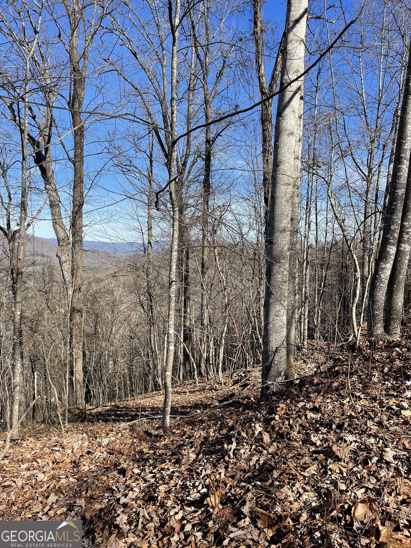 Young Harris, GA 30582,0 Harris Ridge Road #27