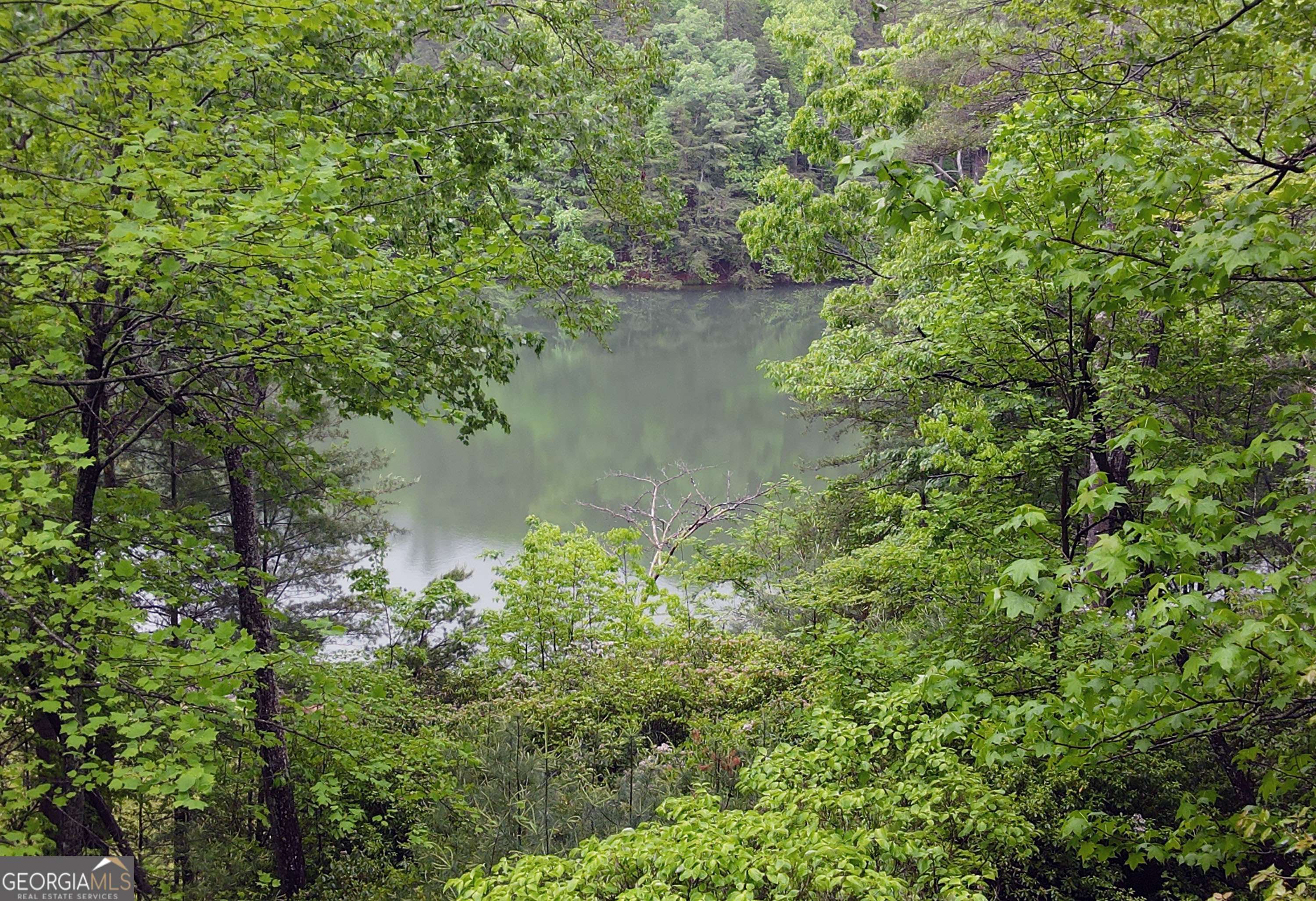Ellijay, GA 30536,66 Pine Ridge CT