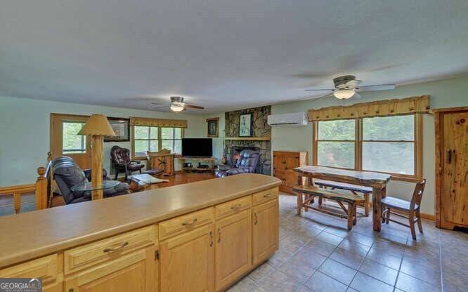 Hiawassee, GA 30546,2252 Cathy RD