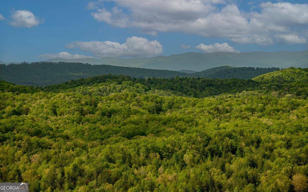 Morganton, GA 30560,LOT 25 Scouts Overlook