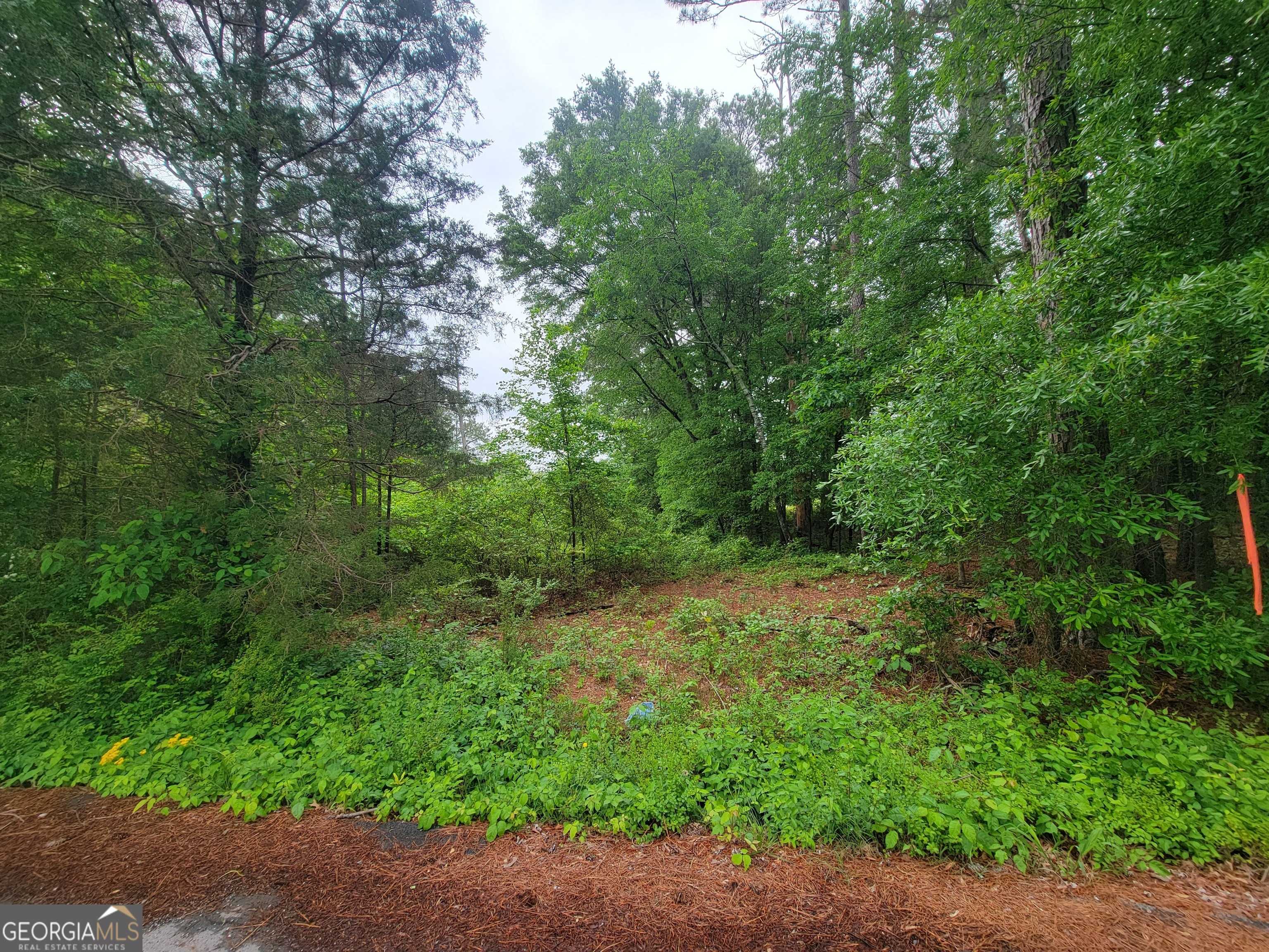 Summerville, GA 30747,0 Lake Wanda Rita