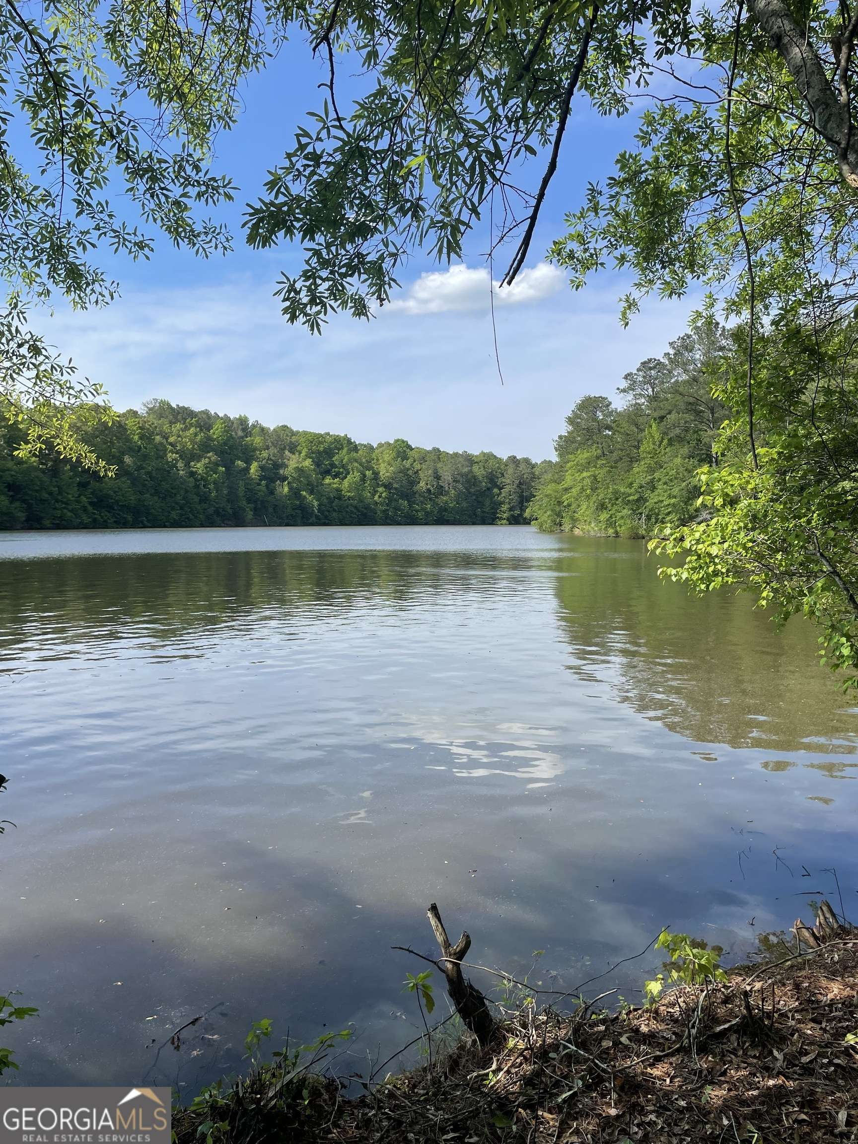 Wedowee, AL 36278,LOT 4 Old Highway 431