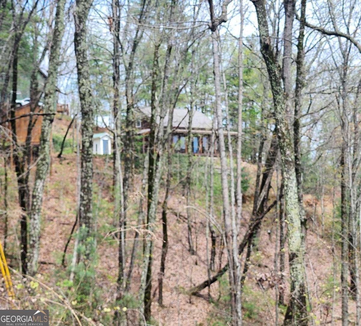 Ellijay, GA 30540,0 Dowell CIR