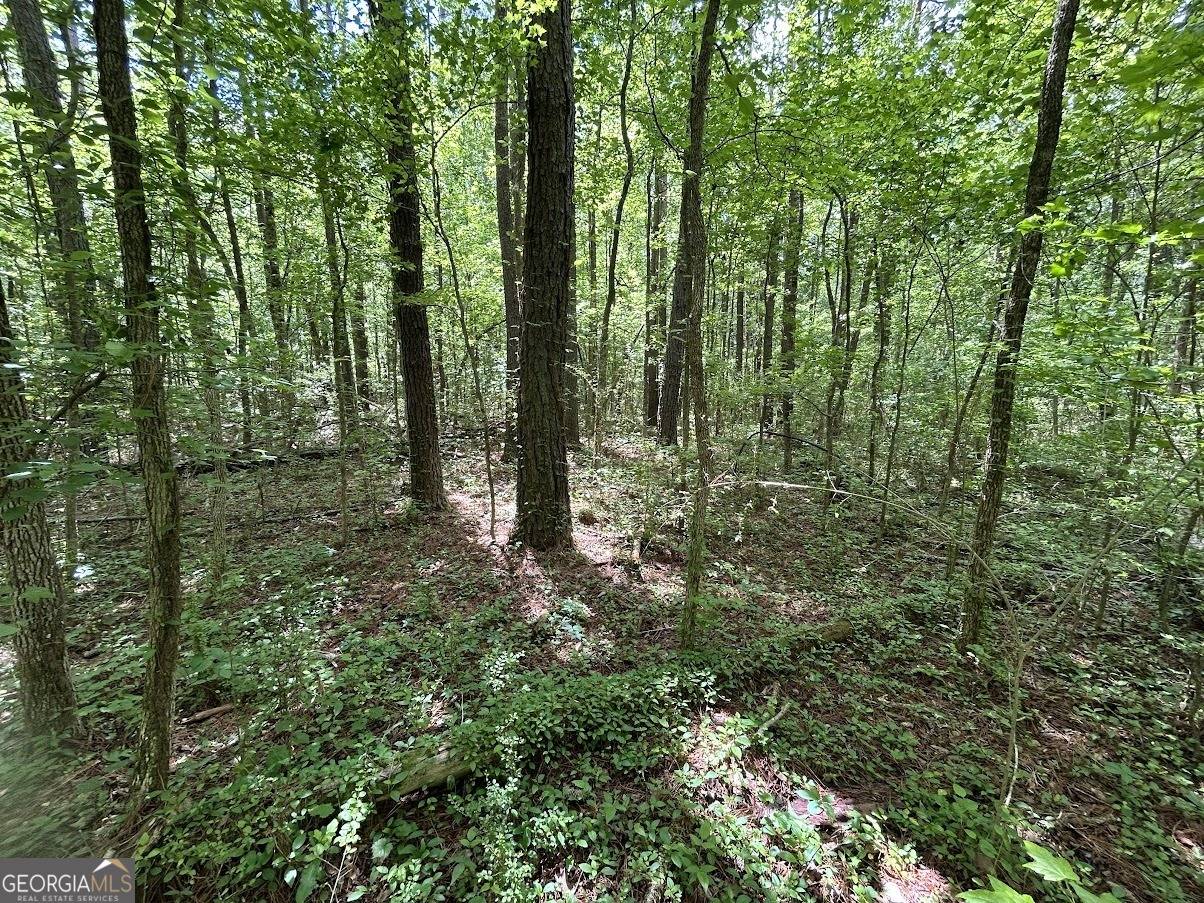 Carrollton, GA 30117,0 Hog Liver RD