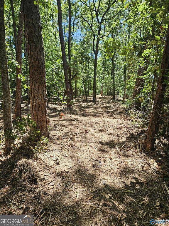 Cedar Bluff, AL 35959,LOT 68 County Road 608