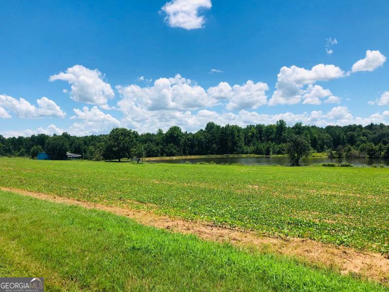 Montezuma, GA 31063,9198 Highway 224
